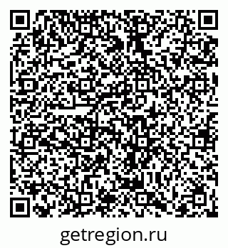 79066400995