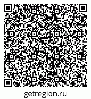 79066401004