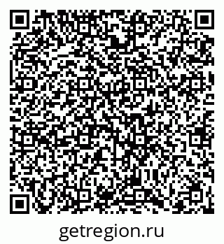 79066401341
