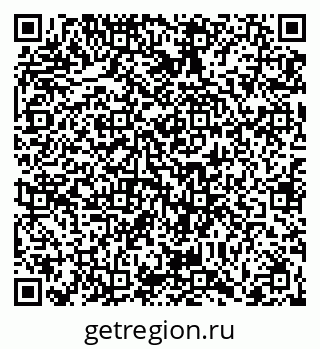 79066401355