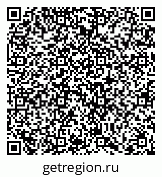 79066402024