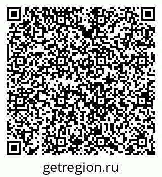 79066402981