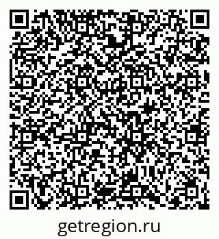79066403341