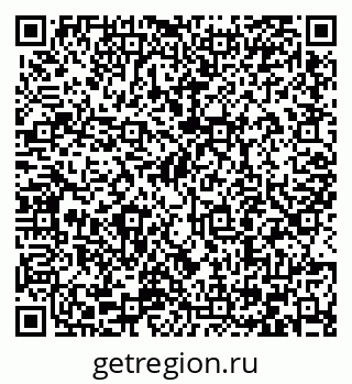 79066404034