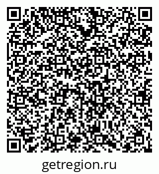 79066404081