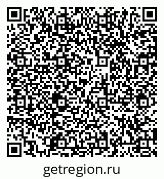 79066404381