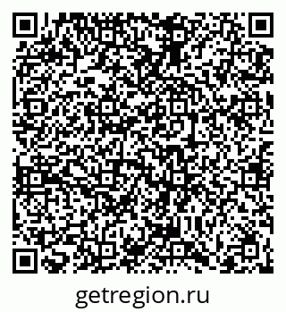79066404411