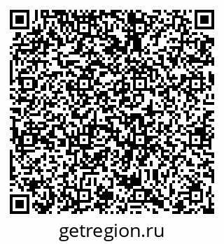 79066404908