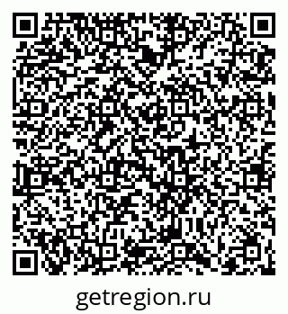 79066404955