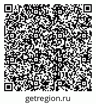 79066405494