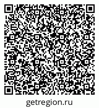 79066405538