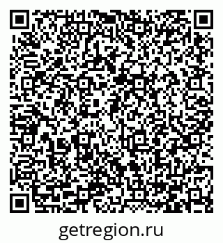 79066406503