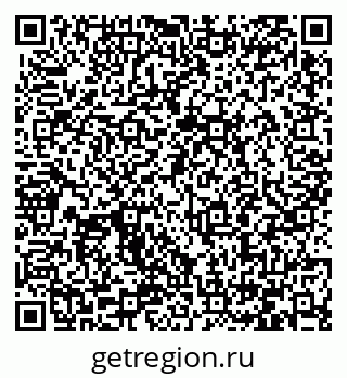 79066406541