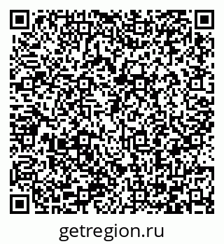 79066406558