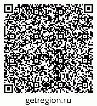 79066408088