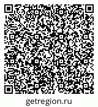 79066409204