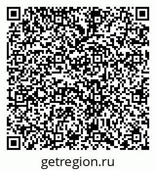 79066409295