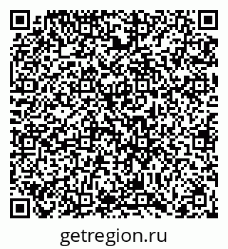 79066409541