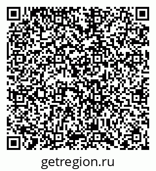 79066409558