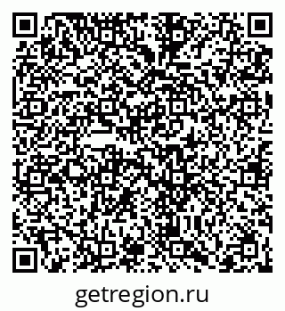 79066410995
