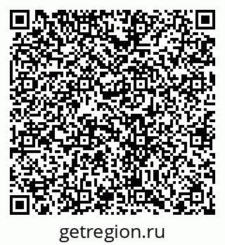 79066411004