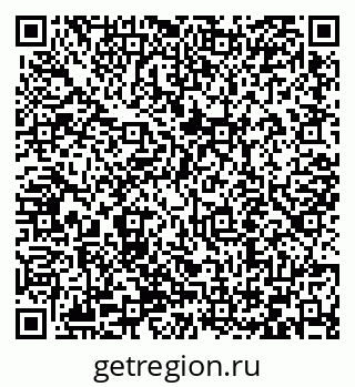 79066411061
