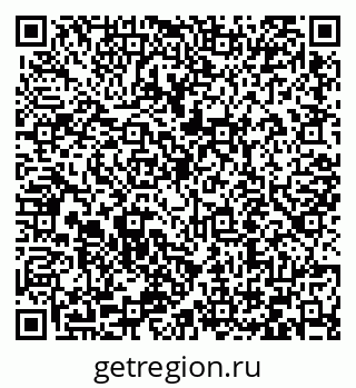 79066411261