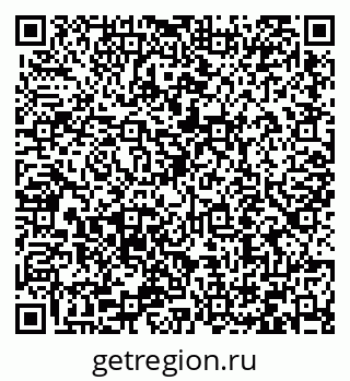 79066411291