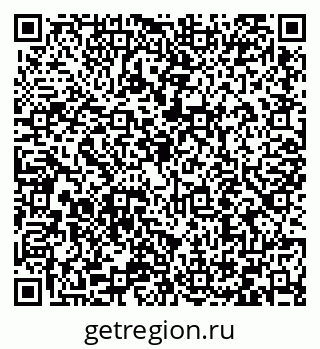 79066411293