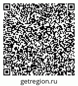 79066411299