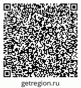 79066411305