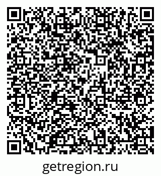 79066411381