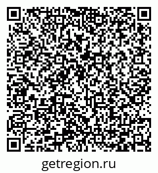 79066411538