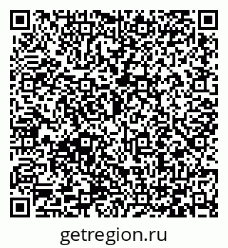 79066411653