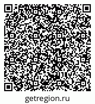 79066411677