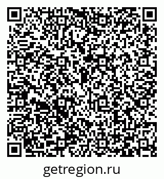 79066411693