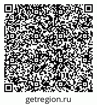 79066411795