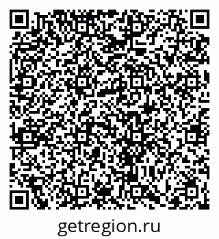 79066413204