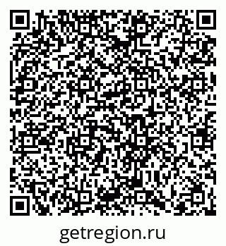 79066415204