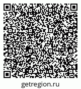 79066415981