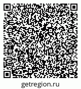 79066416205