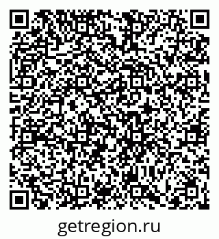 79066416554