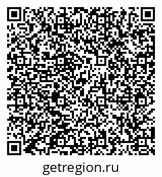 79066416558