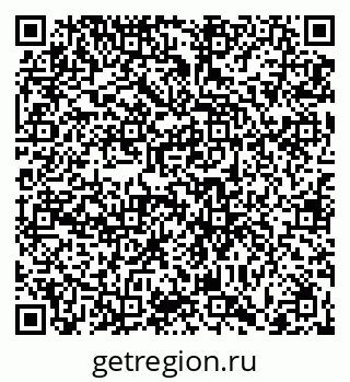 79066418295