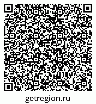 79066419204