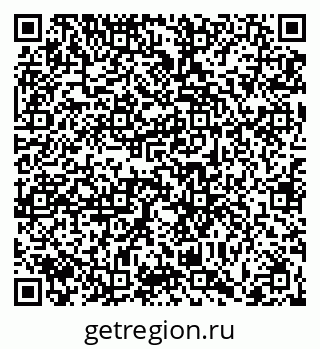 79066419295