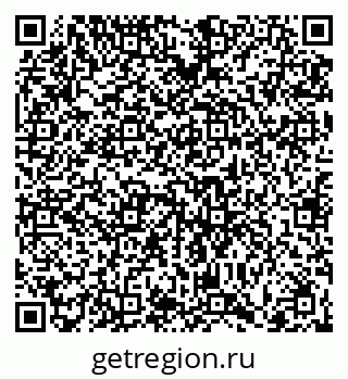 79066419381
