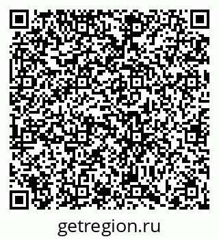 79066419908