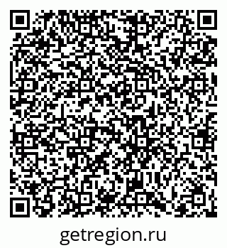 79066419911