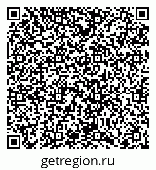 79066419981